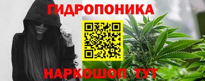 молекула духа Лесосибирск